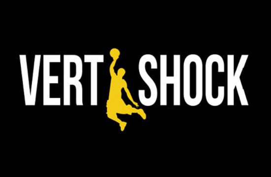 Vert Shock Logo