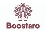 Boostaro Logotype