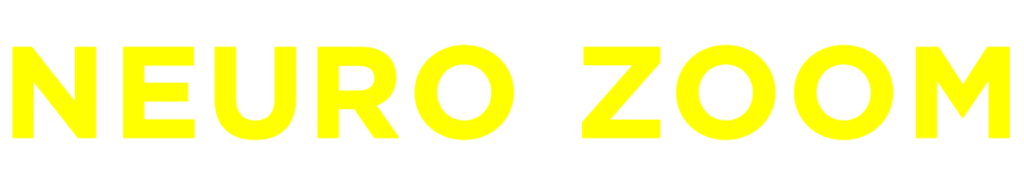 NeuroZoom Logo