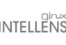 Qinux Intellens Logo