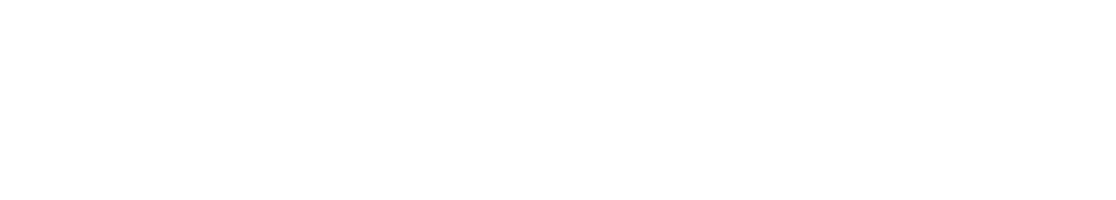 Blissy Silk Pillowcase Logotype