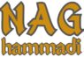 Nag Hammadi Wealth Code Logo
