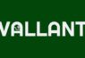 Vallant Security Camera Logo