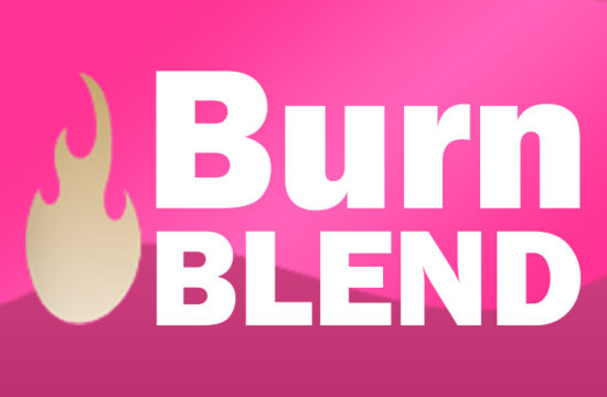 BurnBlend logotype