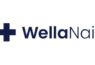 WellaNail Logo