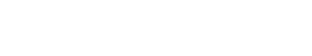 Steel Flow Pro logo