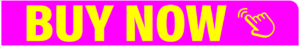 'Byu Now' button