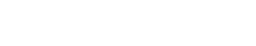 FocusMax logo