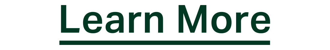 'Learn More' button